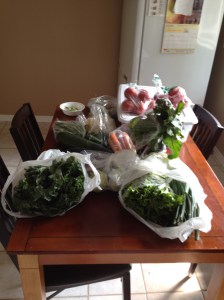 My Vegetable Haul